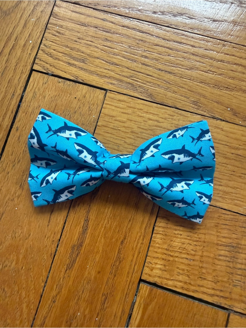 NWT Dog Shark Print Bow Tie - Blue